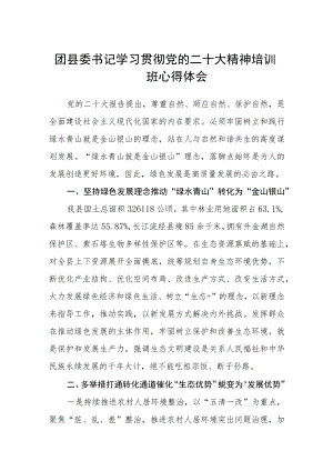 团县委书记学习贯彻党的二十大精神培训班心得体会范文(精选三篇).docx