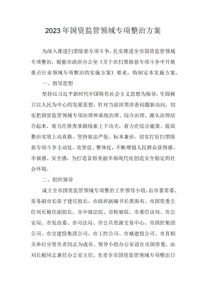 2023年国资监管领域专项整治工作方案.docx