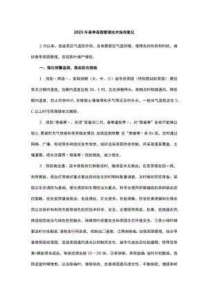 2023年春季茶园管理技术指导意见.docx