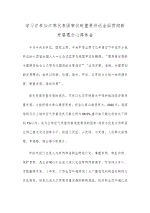 学习在参加江苏代表团审议时重要讲话全面贯彻新发展理念心得体会.docx
