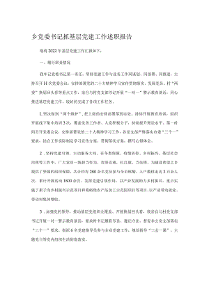 乡党委书记抓基层党建工作述职报告.docx