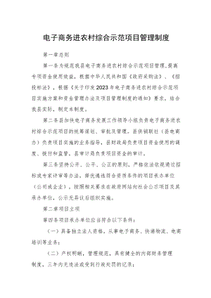 电子商务进农村综合示范项目管理制度.docx