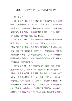 2023年反对拐卖人口行动计划细则.docx