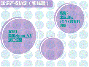 TRIPS知识产权案例PPT.ppt