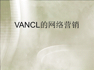 VANCL的网络营销.ppt