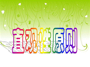 教育学直观性原则.ppt