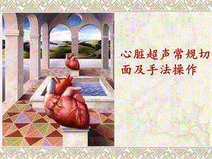 心脏超声常规切面及手法操作.ppt