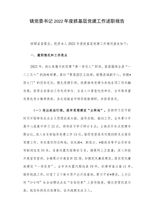 镇党委书记2022年度抓基层党建工作述职报告.docx
