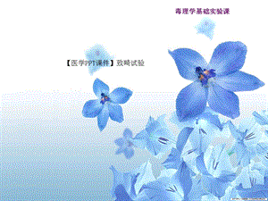 【医学PPT课件】致畸试验.ppt