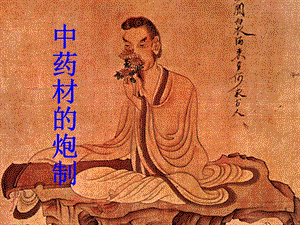 中药的炮制PPT医学课件.ppt