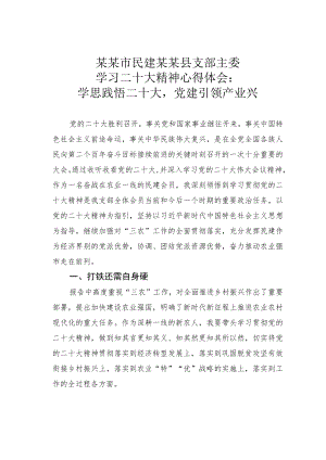 某某市民建某某县支部主委学习二十大精神心得体会：学思践悟二十大党建引领产业兴.docx
