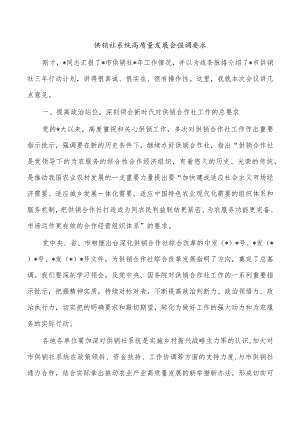 供销社系统高质量发展会强调要求.docx