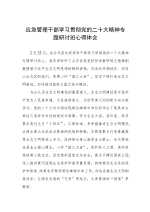应急管理干部学习贯彻党的二十大精神专题研讨班心得体会.docx