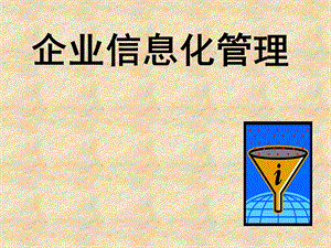 企业信息化管理(非常实用).ppt