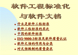什么是软件工程标准.ppt