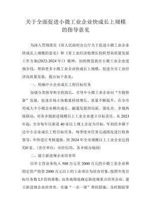 关于全面促进小微工业企业快成长上规模的指导意见.docx