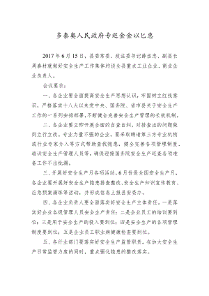 县政府专题会会议纪要.docx