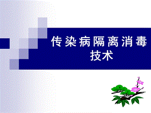 传染病隔离消毒技术规范.ppt