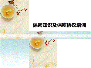 保密制度及保密协议培训.ppt