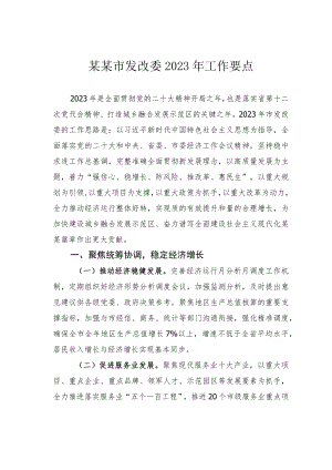 某某市发改委2023年工作要点.docx