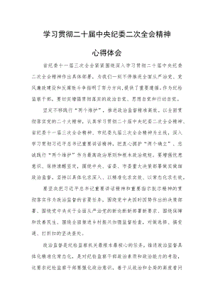 学习贯彻二十届中央纪委二次全会精神心得体会.docx