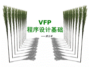 VFP结构化程序设计课件.ppt