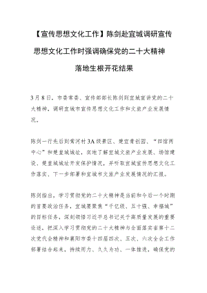 【宣传思想文化工作】陈剑赴宜城调研宣传思想文化工作时强调确保党的二十大精神 落地生根开花结果.docx