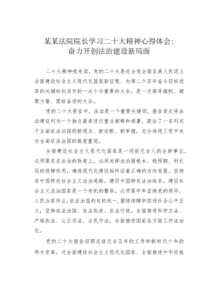 某某法院院长学习二十大精神心得体会：奋力开创法治建设新局面.docx