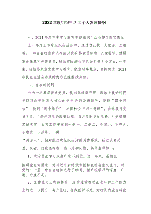 2022年度组织生活会个人发言提纲.docx