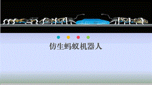仿生蚂蚁机器人.ppt