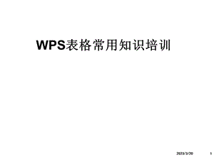 WPS表格培训资料.ppt