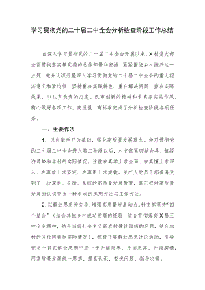 学习贯彻党的二十届二中全会分析检查阶段工作总结.docx
