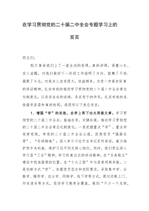 在学习贯彻党的二十届二中全会专题学习上的发言.docx
