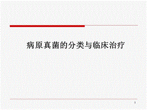 医学真菌及治疗PPT课件.ppt