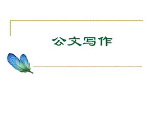 公文写作议案.ppt