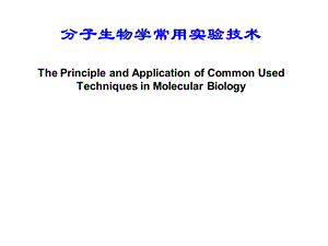 分子生物学技术课件.ppt