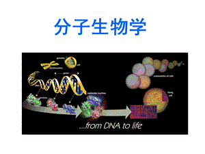 分子生物学绪论.ppt