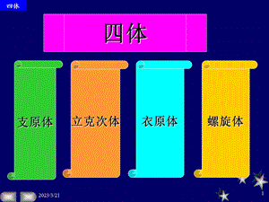 医学微生物学PPT课件.ppt