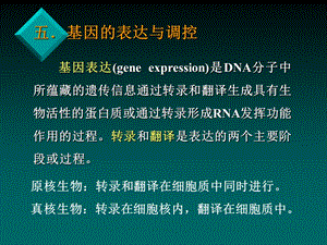 医学生物学7.ppt