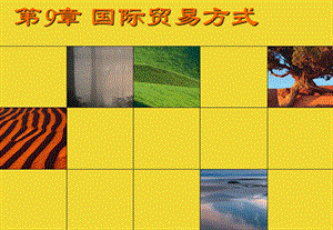 国际贸易的方式.ppt