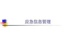 国内外应急管理信息系统.ppt