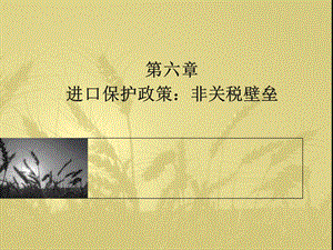 国际贸易第六章.ppt