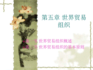 国际贸易组织.ppt