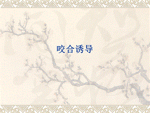 口腔医学咬合诱导课件.ppt
