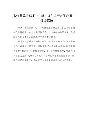 乡镇基层干部【“三抓三促”进行时】心得体会感悟.docx