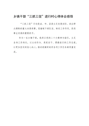 乡镇干部“三抓三促”进行时心得体会感悟.docx
