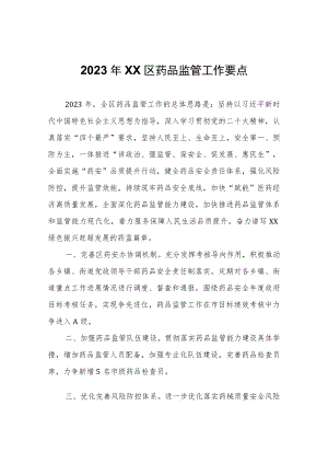 2023年XX区药品监管工作要点.docx