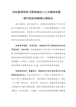 市纪委领导学习贯彻党的二十大精神专题研讨班讲话精神心得体会.docx