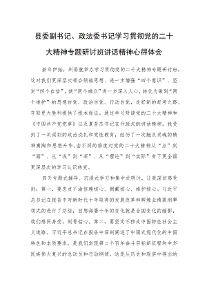 县委副书记、政法委书记学习贯彻党的二十大精神专题研讨班讲话精神心得体会.docx