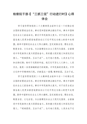 检察院干部【“三抓三促”行动进行时】心得体会.docx